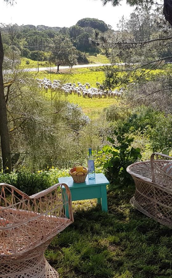 Casa ROMANCE da Valdareina, Bénagil, Carvoeiro, Marinha Carvoeiro  Extérieur photo
