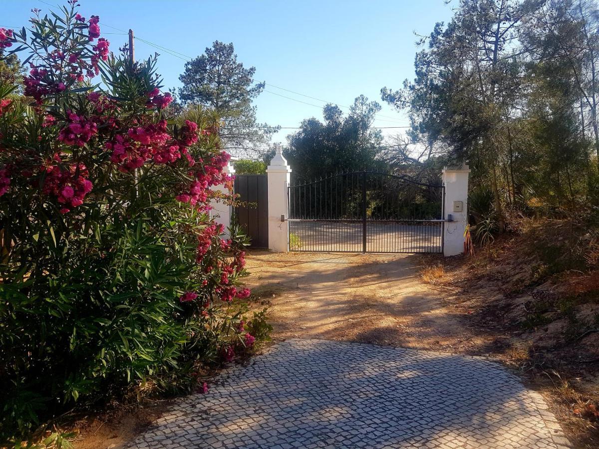Casa ROMANCE da Valdareina, Bénagil, Carvoeiro, Marinha Carvoeiro  Extérieur photo